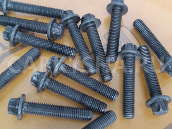 Комплект болтов постели распредвалов BMW X1 E84 BMW X1 