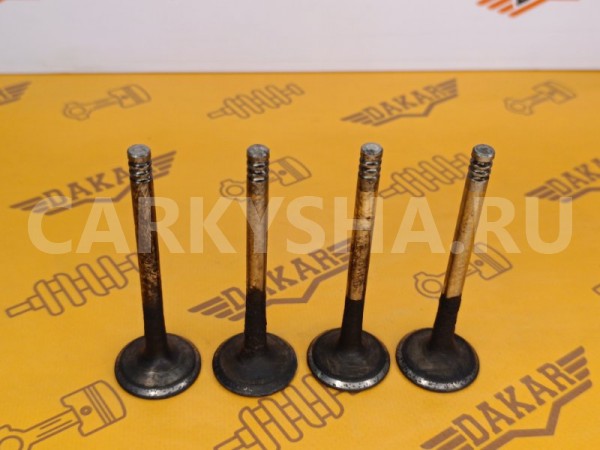 Клапан выпускной Volkswagen Golf 1H1 AAZ 1.9TD Volkswagen Golf 