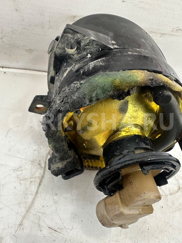 ПТФ правая Volkswagen Golf Plus 2005-2012 Volkswagen Golf Plus оригинальный номер 4T941700C
