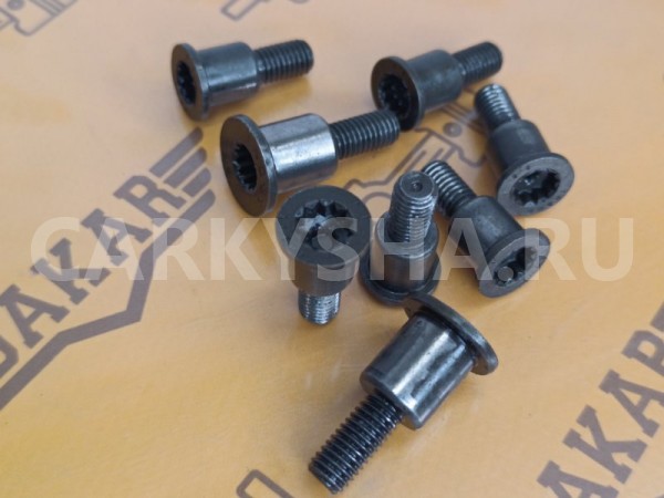 Болт башмака натяжителя цепи Audi Q3 8UB CPSA Audi Q3 