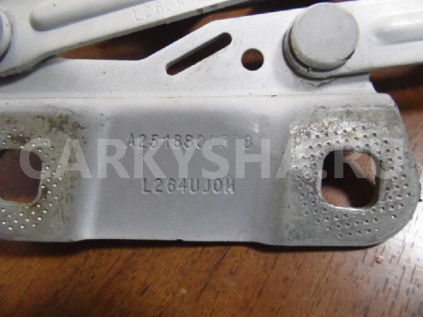 Петля капота Mercedes-Benz GL-класс X164 рестайлинг (2009—2012) Mercedes-Benz G-klasse оригинальный номер A2518800328