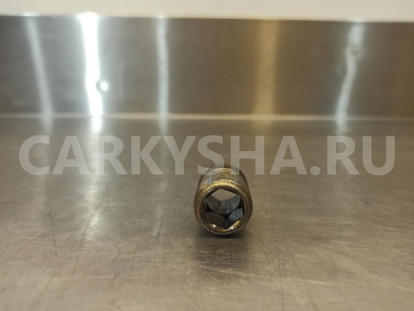 Болт крепления масляного фильтра Nissan X-Trail Nissan X-Trail 