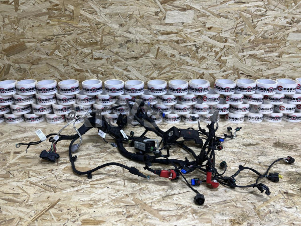 Проводка моторная JETOUR T1 оригинальный номер 806019867AA