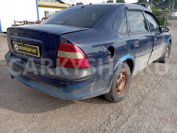 Дверь задняя правая Opel Vectra B Opel Vectra 