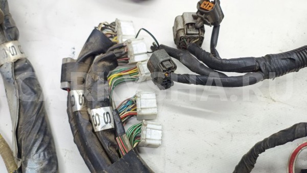 Проводка EJ205 Subaru Impreza WRX 2000 GGA EJ205 Subaru Impreza 