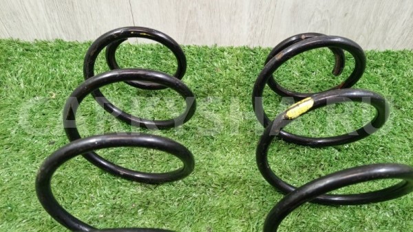 Пружина подвески задняя Renault Laguna 2007 Renault Laguna 