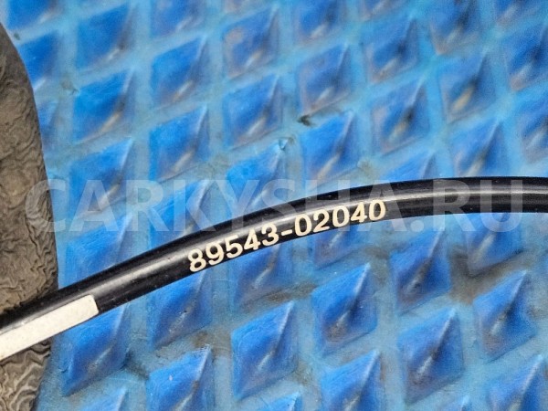 Датчик ABS передний левый правый Avensis T250 Toyota Avensis оригинальный номер 8954302040