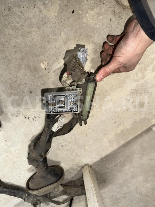 Проводка Subaru Legacy 3 1999 81204AE340 УНИВЕРСАЛ EJ25 Subaru Legacy 