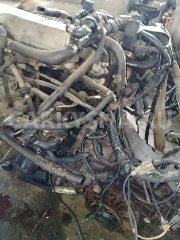 Двигатель Volkswagen Passat 
