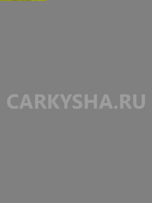 Горловина топливного бака Ford Explorer 