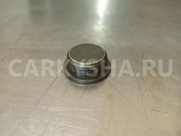 Заглушка блока цилиндров Subaru Forester SG5 EJ205 Subaru Forester 