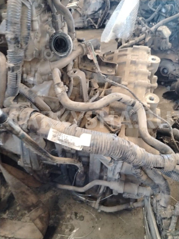 Акпп Nissan Qashqai оригинальный номер 310203UX7B