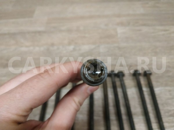 Болты ГБЦ( комплект 10шт.) Ford Focus 