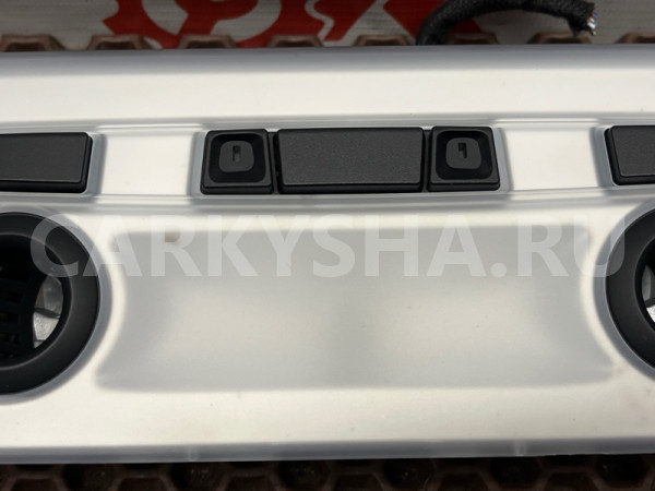 Плафон подсветки салона BMW X1 оригинальный номер 61 31 9 201 628, 61 31 9 201 628, 61319201628, 9201628, 61 31 9 201 645, 61319201645, 9201645, 61 31 6 946 126, 61316946126, 6946126, 61 31 6 971 774, 61316971774, 6971774