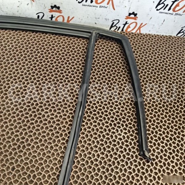 Направляющая резинка стекла BMW X1 