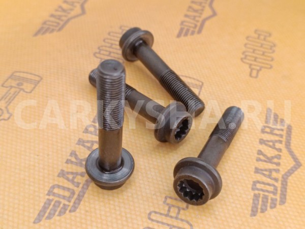 Болт распредвала Audi A6 C6 BKH 3.2 2010 Audi A6 