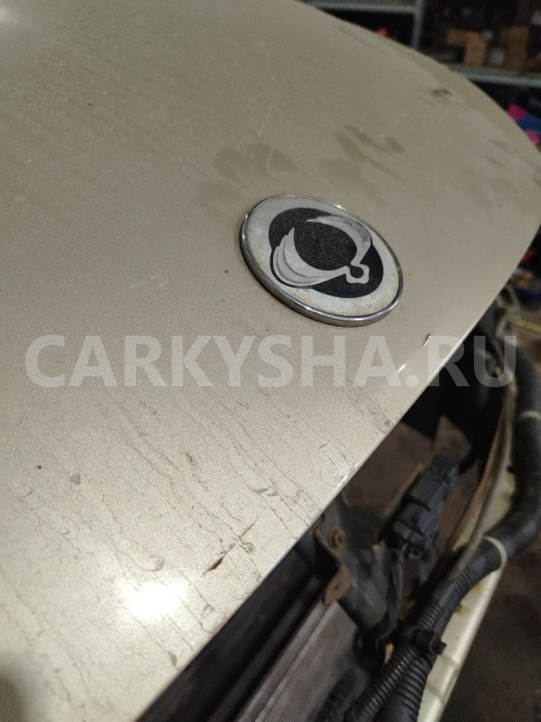 Капот SsangYong Kyron Ssang Yong Kyron оригинальный номер 6101109000