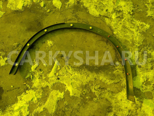 Дефендер Nissan Dualis 