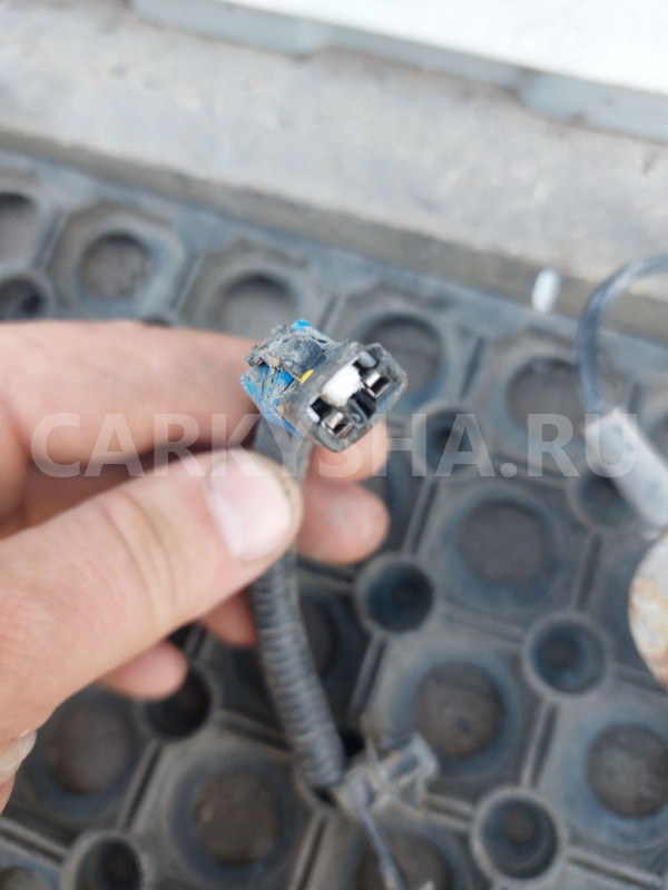 Датчик ABS задний левый Kia Ceed ED Kia Cee'd оригинальный номер 599101H300