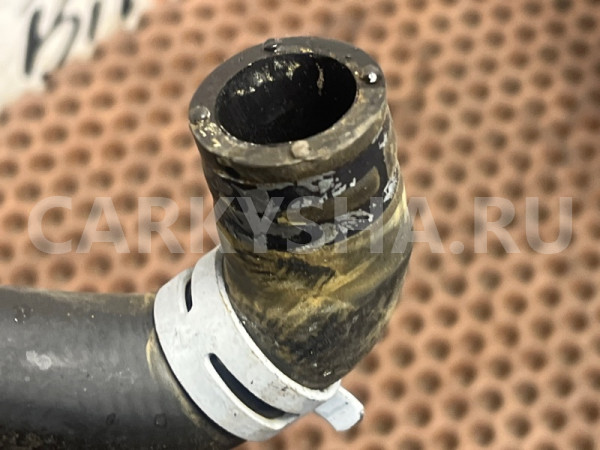 Шланг системы охлаждения BMW 5er оригинальный номер 17 12 7 578 403, 17 12 7 578 403, 17127578403, 7578403, 64 50 9 169 918, 64509169918, 9169918, 64 50 9 170 343, 64509170343, 9170343