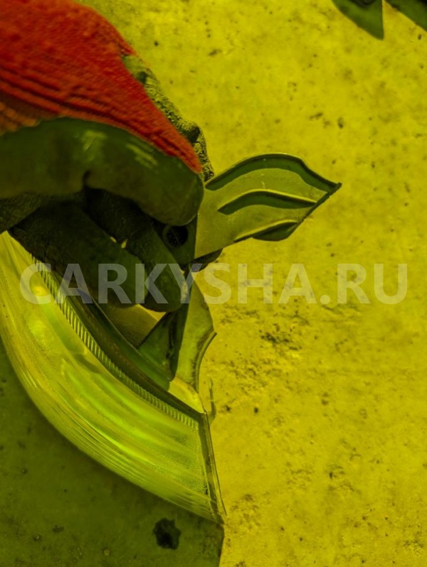 Габарит Toyota Camry 