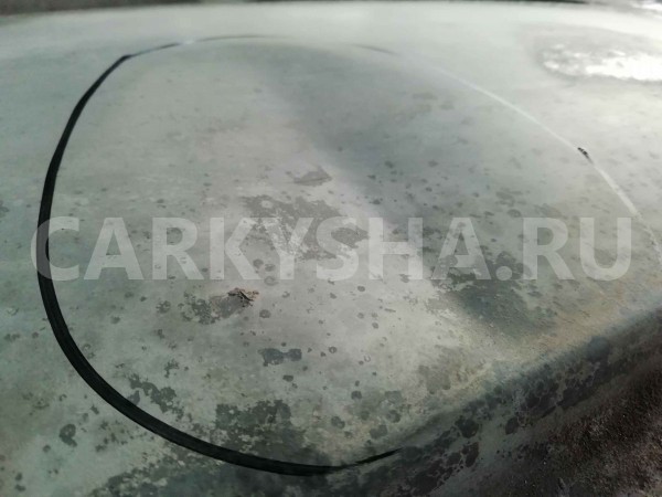 Крыша BMW X5 E70 (2006—2010) BMW X5 оригинальный номер 41317174369