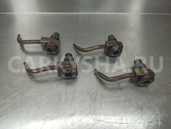 Форсунка масляная Volkswagen Passat B6 (3C2) CAXA Volkswagen Passat 