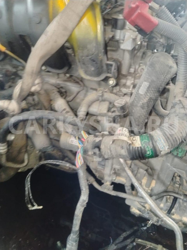 Двигатель Nissan Qashqai оригинальный номер 10102JE30F