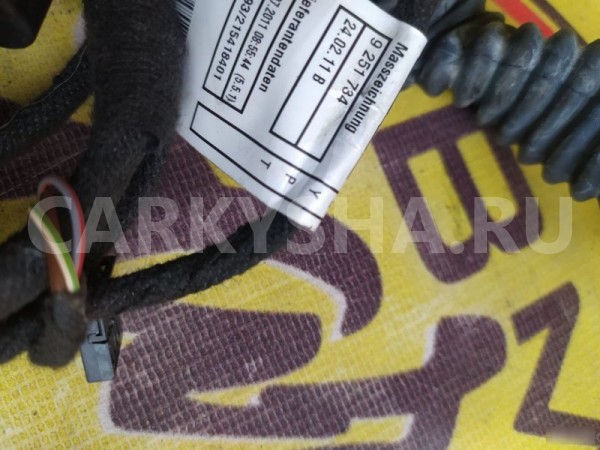 Проводка двери задняя левая BMW 1 F20 N13 BMW 1er 