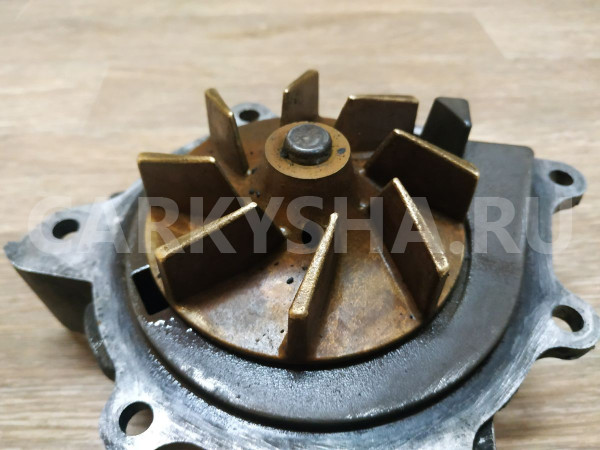 Насос водяной (помпа) Land Rover Freelander оригинальный номер LR011694