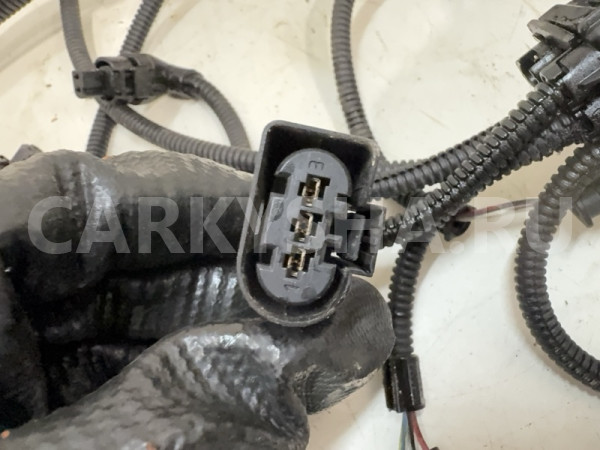 Проводка ДВС BMW X3 F25 04.2012 12517620557 SAV N55 BMW X3 