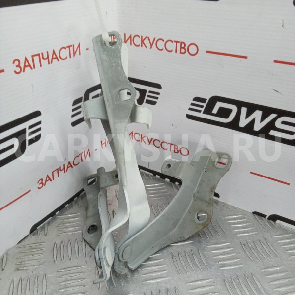 Петля капота Nissan Stagea 