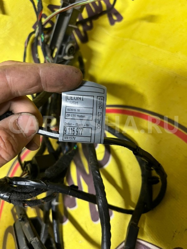 Проводка двери задняя правая BMW X5 E70 N52B30 BMW X5 