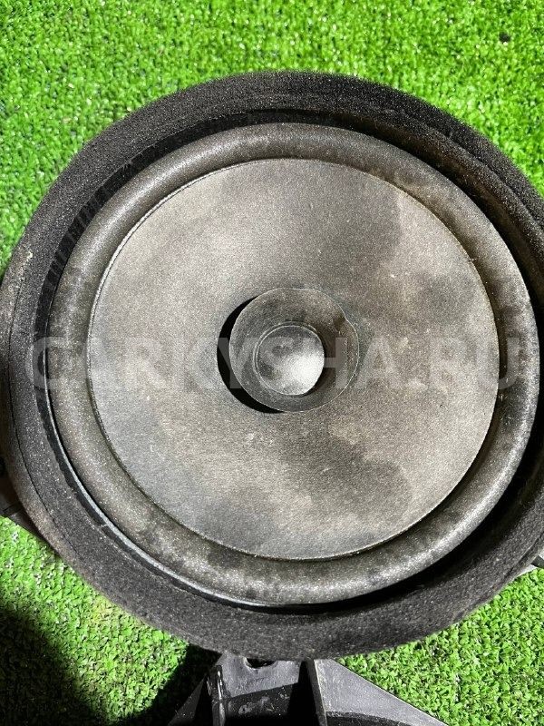 Динамик ( пара) Vortex Tingo 