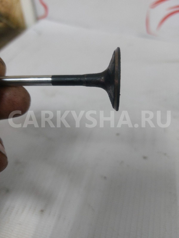 Клапан выпускной Opel Astra J A14NET Opel Astra оригинальный номер 55565339