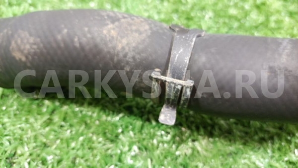 Патрубок радиатора нижний Mitsubishi Outlander Mitsubishi i оригинальный номер MN135701
