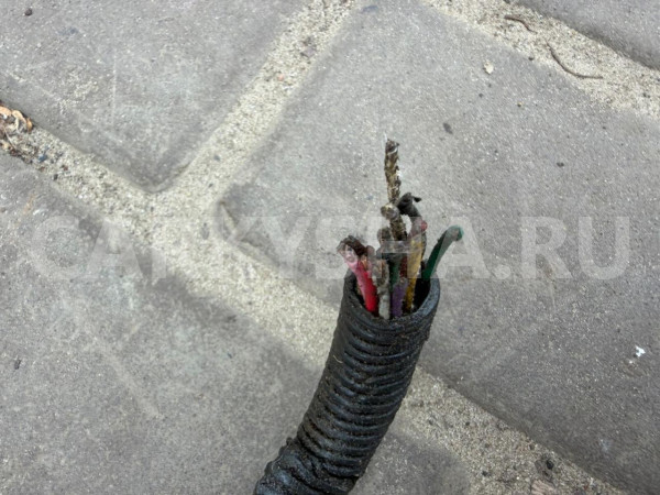 Проводка двс Mitsubishi Outlander 3 GF 4B11 Mitsubishi i оригинальный номер 8541B995