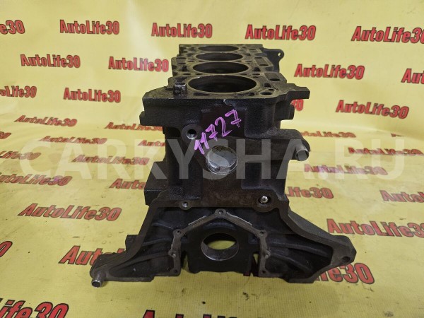 Блок двигателя Mitsubishi Lancer 