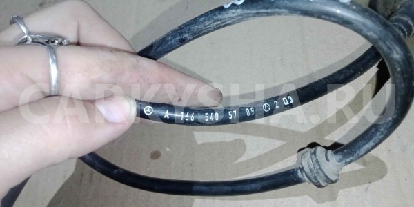Провод Mercedes-Benz M-класс W166 (2011—2015) Mercedes-Benz M-klasse оригинальный номер a1665405709
