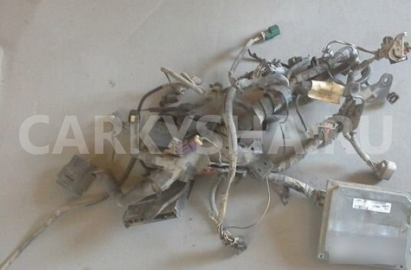 Проводка двигателя форд фьюжн fusion 1.4 робот Ford Fusion оригинальный номер 6S6T14K011DH