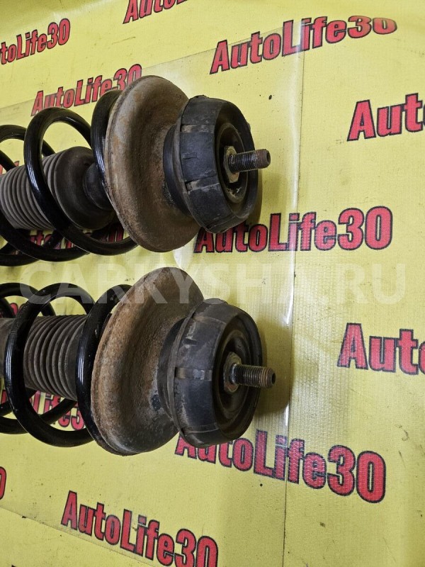 Амортизаторы задние к-кт Renault Duster 