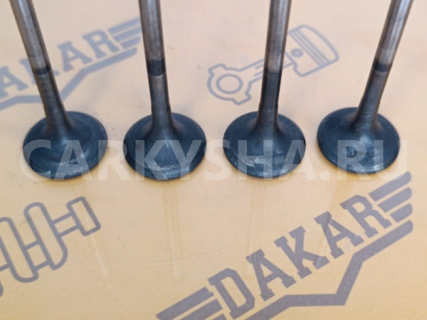 Комплект выпускных клапанов 4шт BMW X1 E84 N47D20C BMW X1 