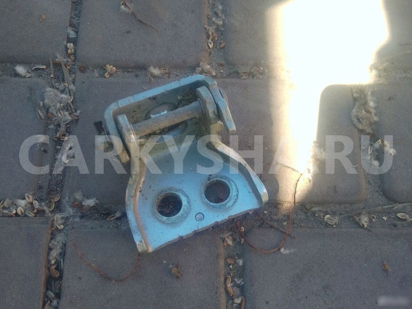 Петля правой передней двери нижняя Citroen C4B7 Citroen C4 