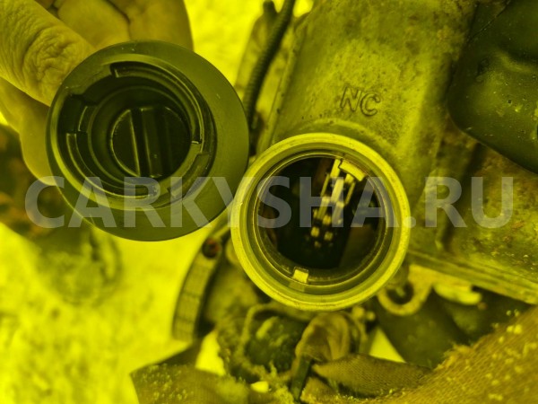 Двигатель Chevrolet Aveo 