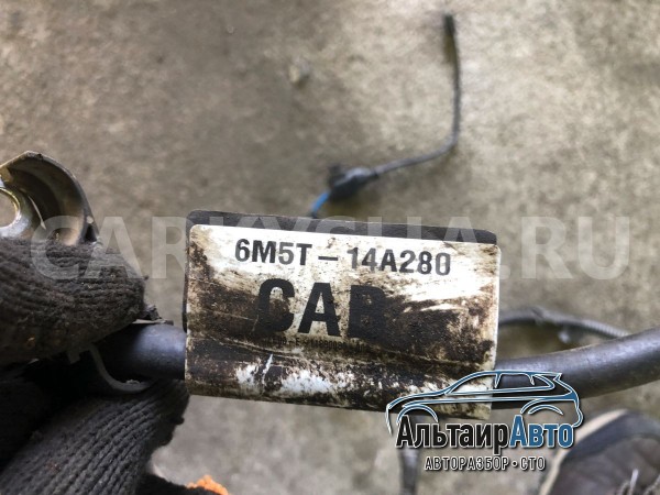 Моторная проводка Ford Focus 2 C-Max Ford C-MAX оригинальный номер 6M5TF221050