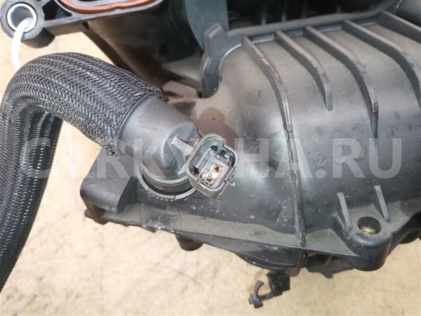 Название детали Впускной коллектор Модель Citroen C3 Picasso Citroen C3 Picasso оригинальный номер 0361 S7
