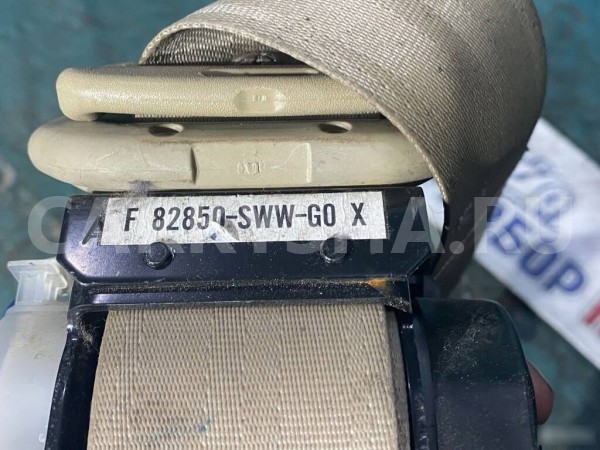 Ремень задний правый Honda CR-V 3 RE Honda CR-V оригинальный номер 82450SWWG01ZB