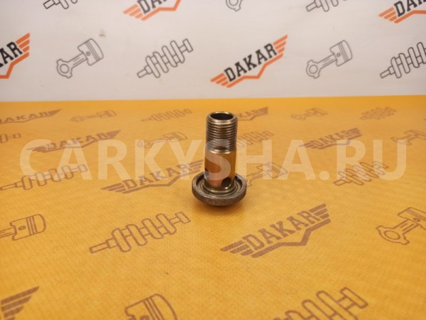 Болт крепления масляного радиатора Nissan X-Trail Nissan X-Trail 