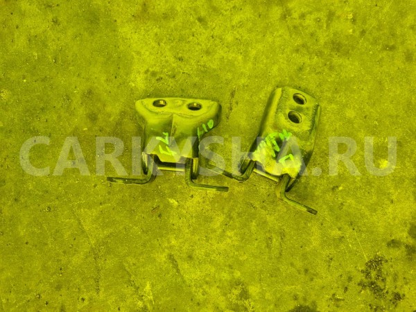 Петли на дверь Nissan Dualis 