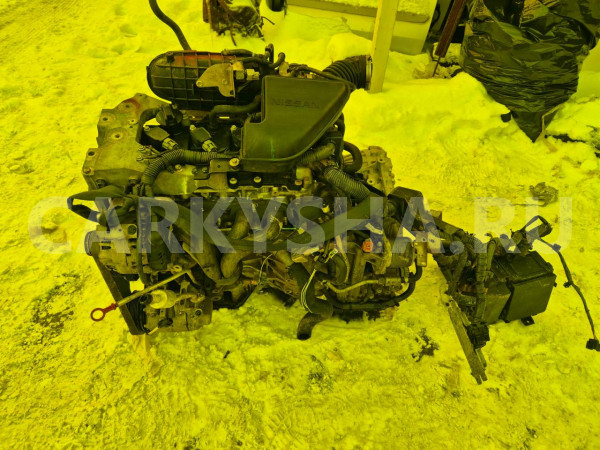 Двигатель Nissan X-Trail оригинальный номер 10102JG3AC